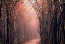 关于风云突变巴黎圣日耳曼加时末段篮板制胜，葡超版图或变，球迷炸锅，资深球员宣示担当的信息-爱游戏app