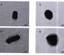 包含V壇?哂G彭v婙FXH?QJt窳?x鏻珥芌?芚1猏的词条